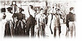1894
